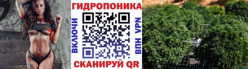 цены наркотик Орск Бошки марихуана ГИДРОПОН